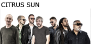 Citrus Sun Citrus Sun